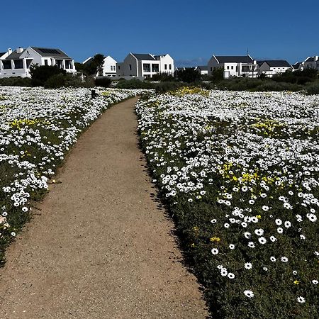 Clam Lagoon Langebaan Exteriér fotografie