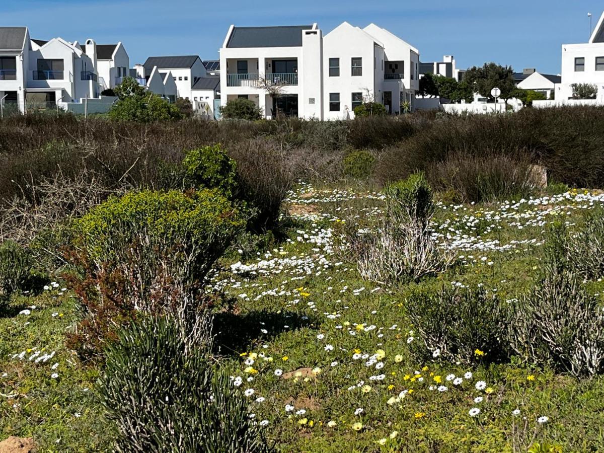 Clam Lagoon Langebaan Exteriér fotografie