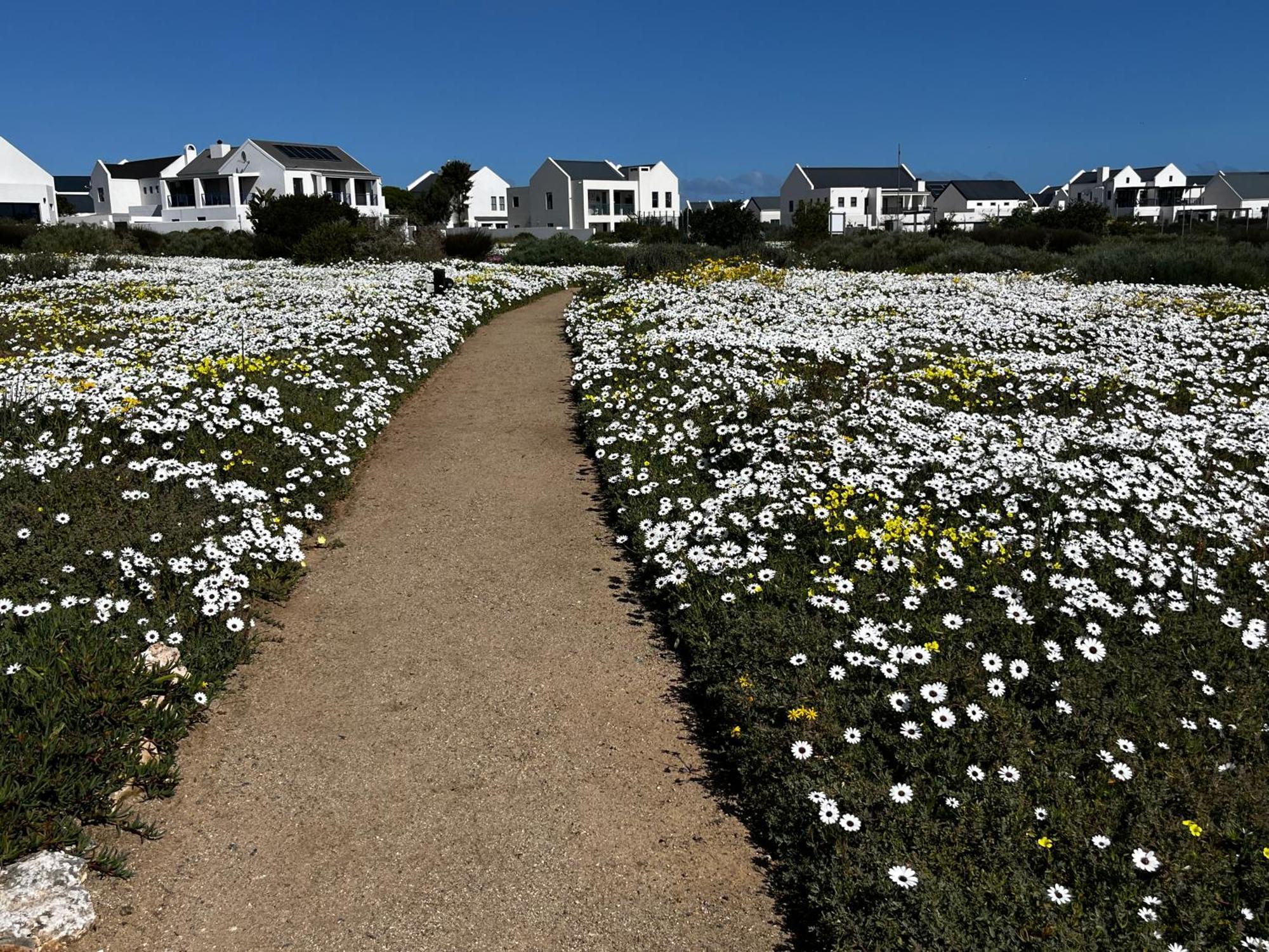 Clam Lagoon Langebaan Exteriér fotografie